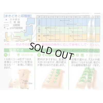 画像2: 送料無料　[大根]　耐病総太り　2dl　タキイ種苗(株)