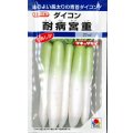 [大根]　耐病宮重　18ml　タキイ種苗(株)　DF