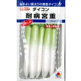 [大根]　耐病宮重　18ml　タキイ種苗(株)　DF