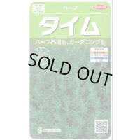 送料無料　[ハーブの種]　タイム　約1500粒　(株)サカタのタネ　実咲（003183）