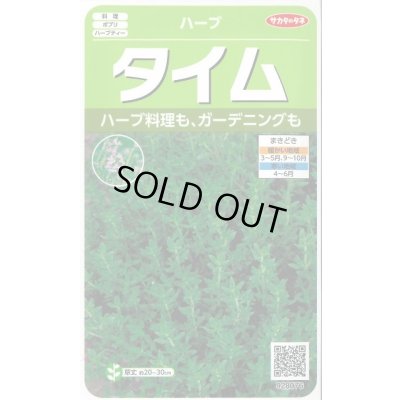 画像1: [ハーブの種] タイム 約1500粒 (株)サカタのタネ 実咲250(003183)