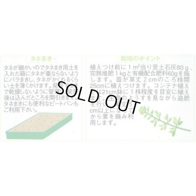 画像2: [ハーブの種] タイム 約1500粒 (株)サカタのタネ 実咲250(003183)