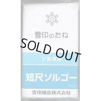 [緑肥]　短尺ソルゴー　1kg 　雪印種苗（株）