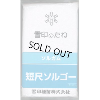 画像1: [緑肥]　短尺ソルゴー　1kg 　雪印種苗（株）