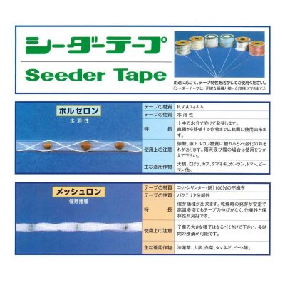 画像3: [シーダー種子]　ねぎ　ホワイトスター1粒×3cm間隔