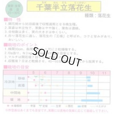 画像2: [落花生]　千葉半立　1L(約700粒)　渡辺農事（株）
