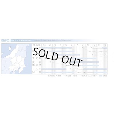 画像4: 送料無料　[トマト/ミニトマト]　千果99　12粒　タキイ種苗(株)　DF