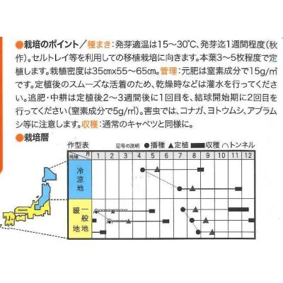 画像3: [イタリア野菜]　クリスピーノ　50粒　トキタ種苗（株）