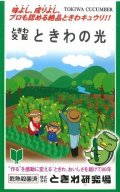 送料無料　[キュウリ]　ときわの光　20粒　(株)(株)ときわ研究場
