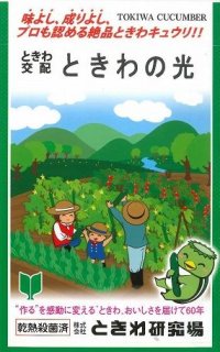 [キュウリ]　ときわの光　20粒　（株）（株）ときわ研究場