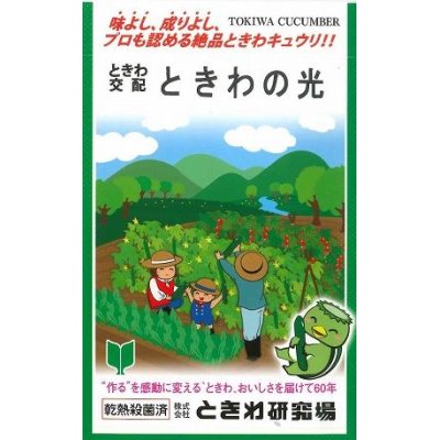 画像1: [キュウリ]　ときわの光　20粒　（株）（株）ときわ研究場