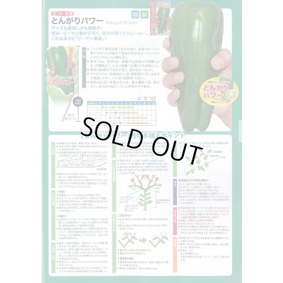画像4: 送料無料　[ピーマン]　とんがりパワー　20粒　ナント種苗(株)