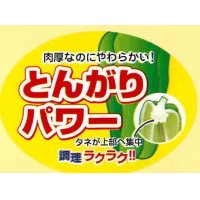 送料無料！　青果シール　ピーマン　とんがりパワー　1000枚   ナント種苗（株）