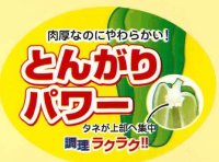 送料無料！　青果シール　ピーマン　とんがりパワー　1000枚   ナント種苗（株）