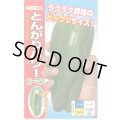 送料無料　[ピーマン]　とんがりパワー　20粒　ナント種苗(株)