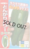 送料無料　[ピーマン]　とんがりパワー　20粒　ナント種苗(株)