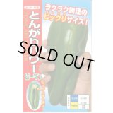 送料無料　[ピーマン]　とんがりパワー　20粒　ナント種苗(株)