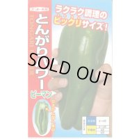 送料無料　[ピーマン]　とんがりパワー　20粒　ナント種苗(株)
