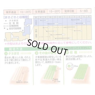 画像3: [ほうれんそう]　トライ　1Ｌ　タキイ種苗（株）