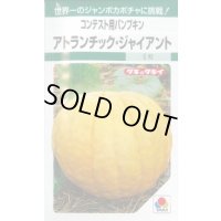 送料無料　[かぼちゃ]　アトランチック・ジャイアント　5粒　タキイ種苗　GF