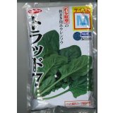[ほうれんそう]　トラッド7(種子サイズ：M)　3万粒　サカタのタネ(株)