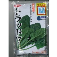 [ほうれんそう]　トラッド7(種子サイズ：M)　3万粒　サカタのタネ(株)
