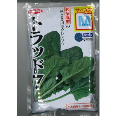 画像1: [ほうれんそう]　トラッド7(種子サイズ：M)　3万粒　サカタのタネ(株)