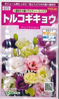 花の種　トルコギキョウ　八重咲き大輪バラエティミックス　約75粒　サカタのタネ（株）実咲350