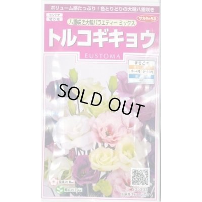 画像1: 花の種 トルコギキョウ 八重咲き大輪バラエティミックス 約40粒 (株)サカタのタネ 実咲350(026121)