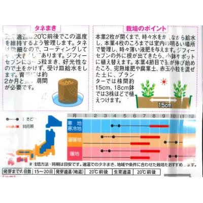 画像2: 花の種　トルコギキョウ　八重咲き大輪バラエティミックス　約75粒　サカタのタネ（株）実咲350