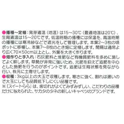 画像2: [キャベツ]　送料無料　冬藍　コート 5000粒　サカタ交配