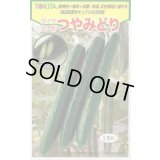 送料無料　[キュウリ]　つやみどり　15粒　トキタ種苗(株)