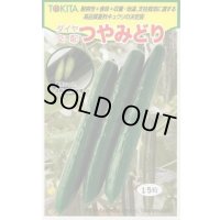 送料無料　[キュウリ]　つやみどり　15粒　トキタ種苗(株)