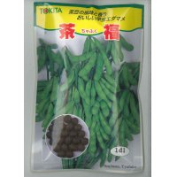 [枝豆]　茶福　1dl（およそ250粒）　トキタ種苗（株）
