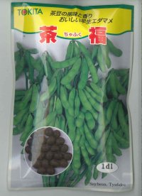 [枝豆]　茶福　1dl（およそ250粒）　トキタ種苗（株）