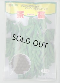 送料無料　[枝豆]　茶福　1dl(およそ250粒)　トキタ種苗(株)