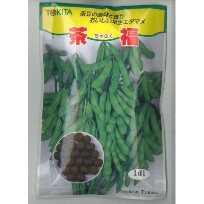 画像1: [枝豆]　茶福　1dl（およそ250粒）　トキタ種苗（株）
