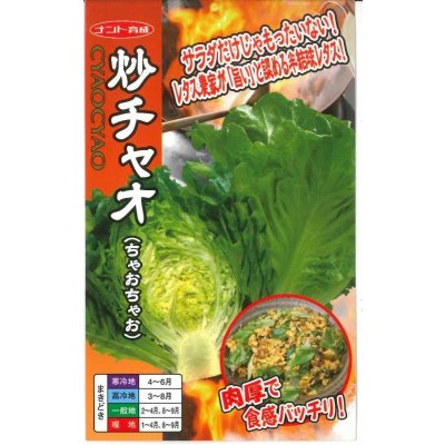 画像1: 送料無料　[レタス]　炒チャオ　(ちゃおちゃお)　0.7ml(約200粒)ナント種苗(株)