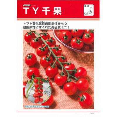 画像2: [トマト/ミニトマト]　送料無料！　ＴＹ千果　ペレット２Ｌ1000粒　タキイ種苗（株）