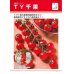 画像2: [トマト/ミニトマト]　送料無料！　ＴＹ千果　 1000粒　タキイ種苗（株） (2)