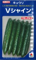送料無料　[キュウリ]　Vシャイン　350粒　タキイ種苗(株)