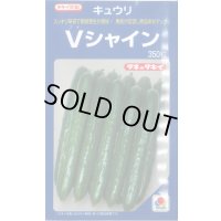 送料無料 [キュウリ] Vシャイン 350粒 タキイ種苗(株)