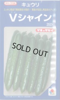 送料無料 [キュウリ] Vシャイン 350粒 タキイ種苗(株)