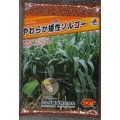 [緑肥]　やわらか矮性ソルゴー　1kg　タキイ種苗(株)