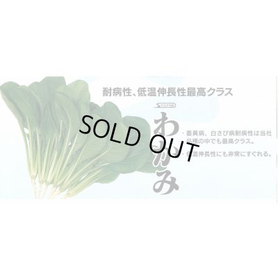 画像2: 送料無料　[小松菜]　わかみ　2dl　（株）サカタのタネ