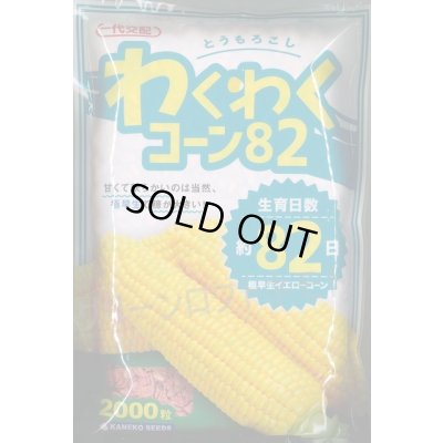 画像1: [とうもろこし]　わくわくコーン82　2000粒　カネコ種苗（株）