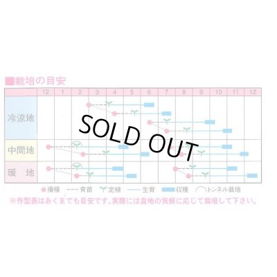 画像2: 送料無料　[ブロッコリー]　ウィンベル　60粒　渡辺農事（株）