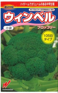 [ブロッコリー]　ウィンベル　2000粒　渡辺交配