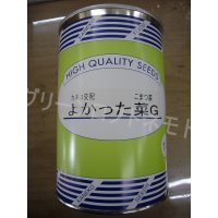 [小松菜]　送料無料！　よかった菜Ｇ　1L　カネコ交配