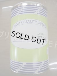 送料無料　[小松菜]　よかった菜Ｇ　1L　カネコ種苗（株）